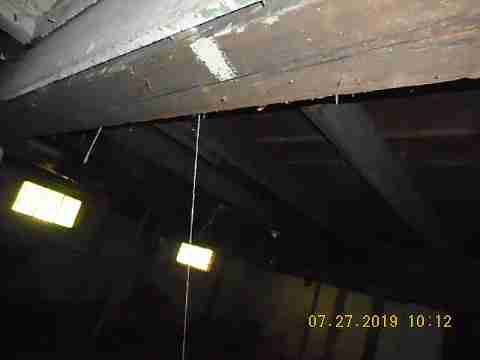 16737 Dolphin (31)_m.jpg